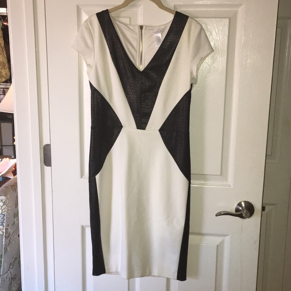 Cache Size 4 snakeskin detail dress NWOT